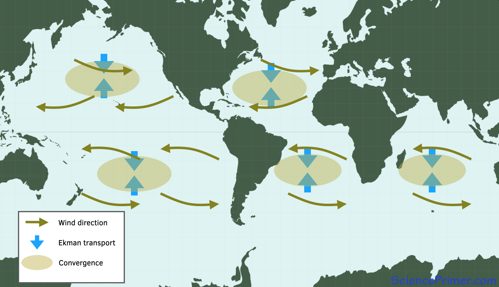 convergent zones